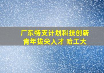 广东特支计划科技创新青年拔尖人才 哈工大